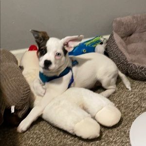 Meet your Posher, Michael